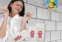 Harga Bata Ringan Brix